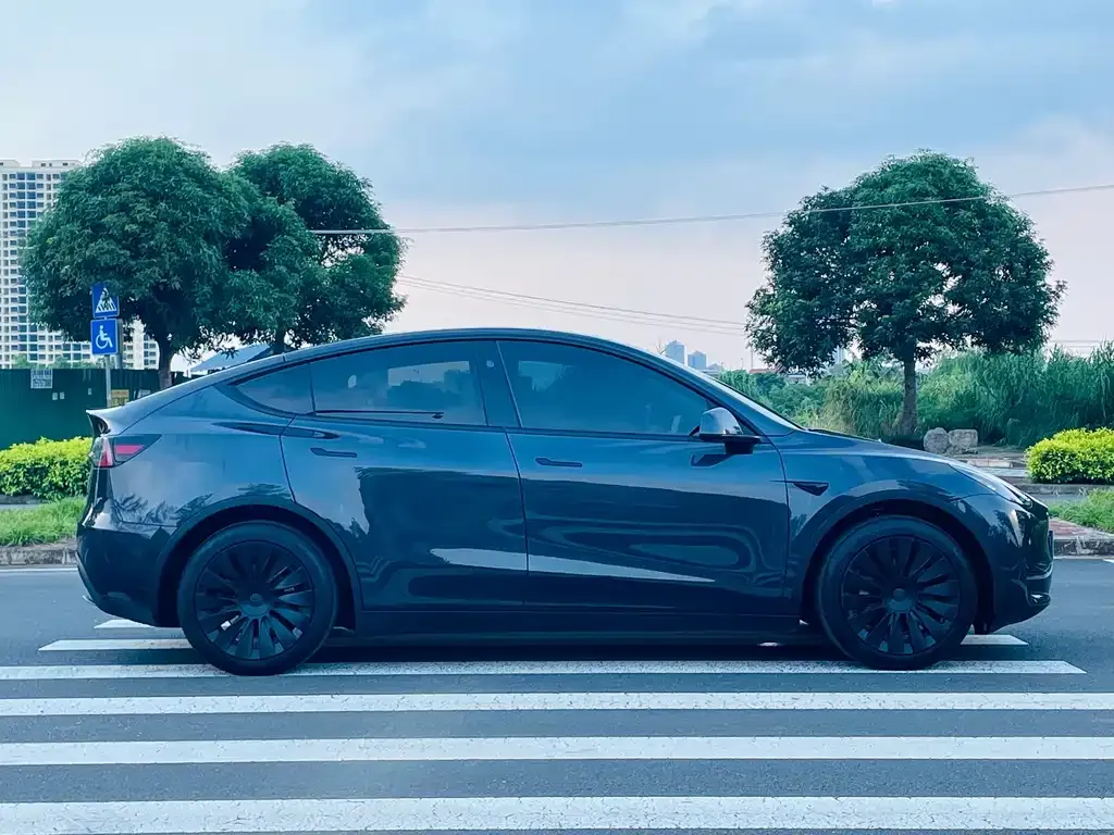 Tesla Model Y — фото 3