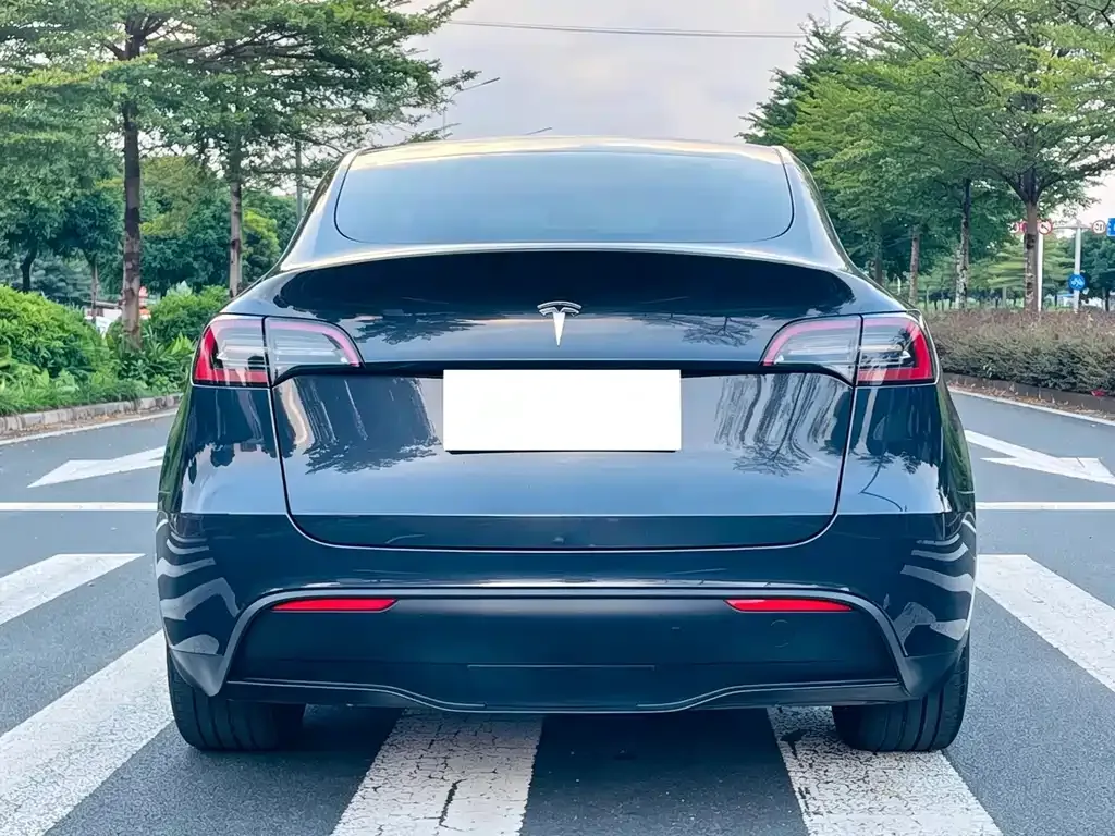 Tesla Model Y — фото 8