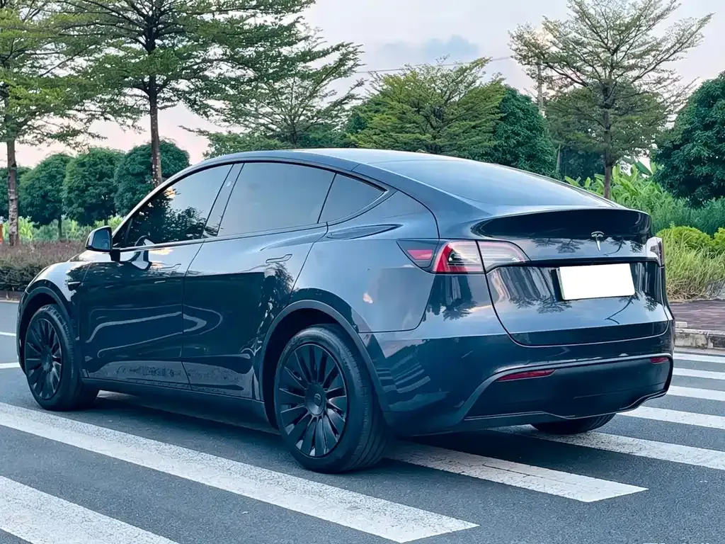 Tesla Model Y — фото 2