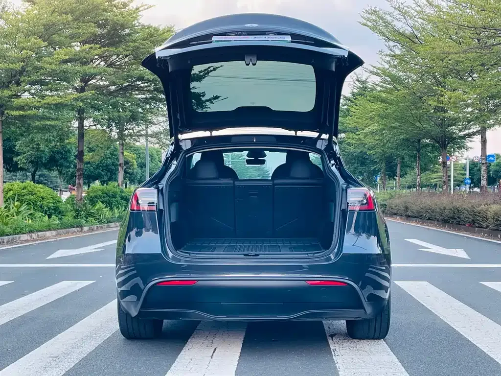 Tesla Model Y — фото 10