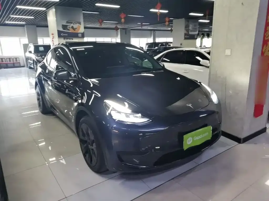 Tesla Model Y — фото 6