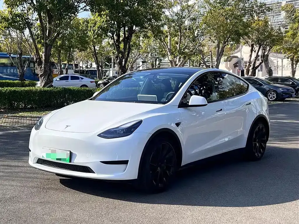 Tesla Model Y — фото 1