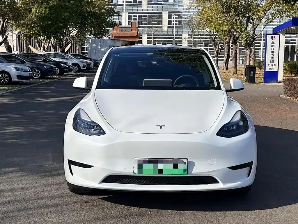 Tesla Model Y — фото 3