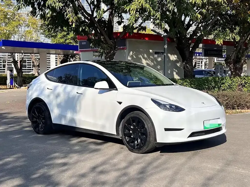 Tesla Model Y — фото 9