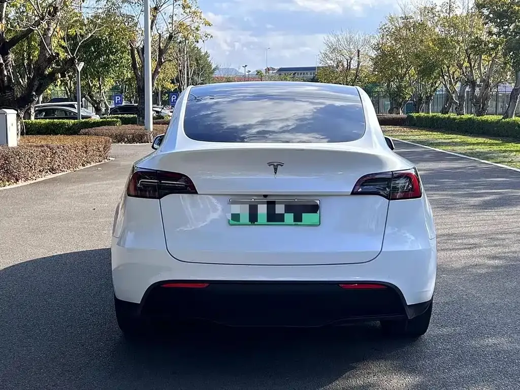Tesla Model Y — фото 5