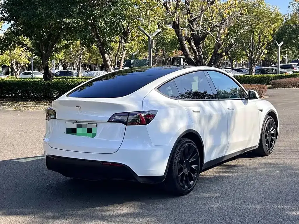 Tesla Model Y — фото 8
