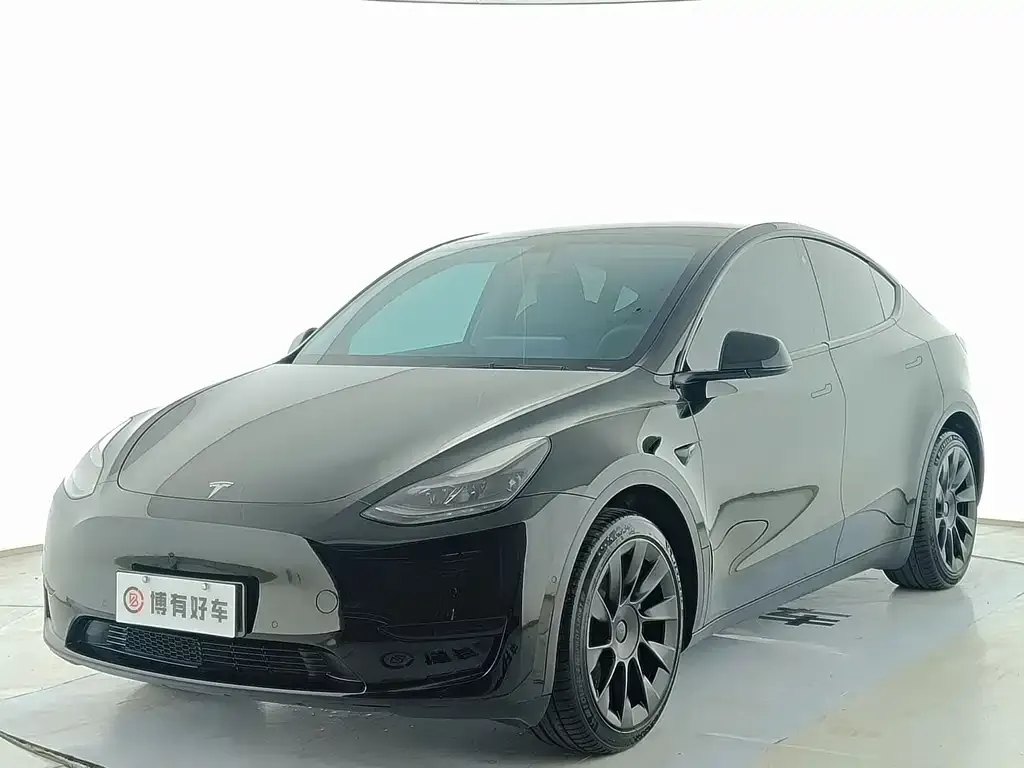 Tesla Model Y — фото 1