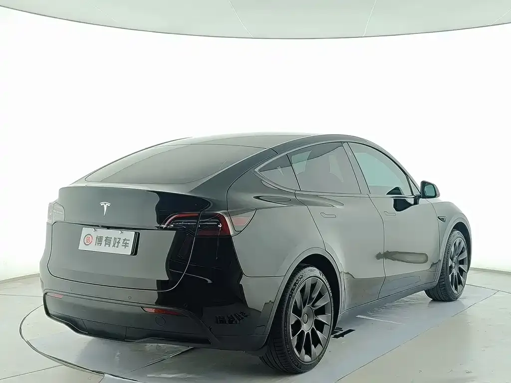 Tesla Model Y — фото 10