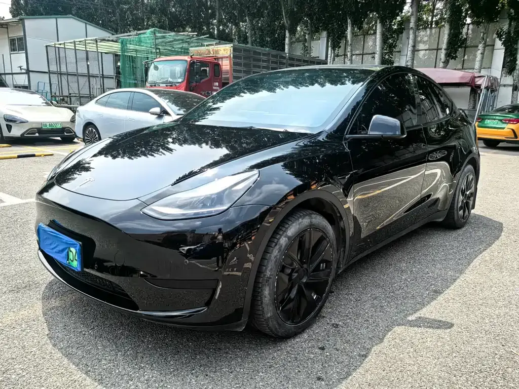 Tesla Model Y — фото 1