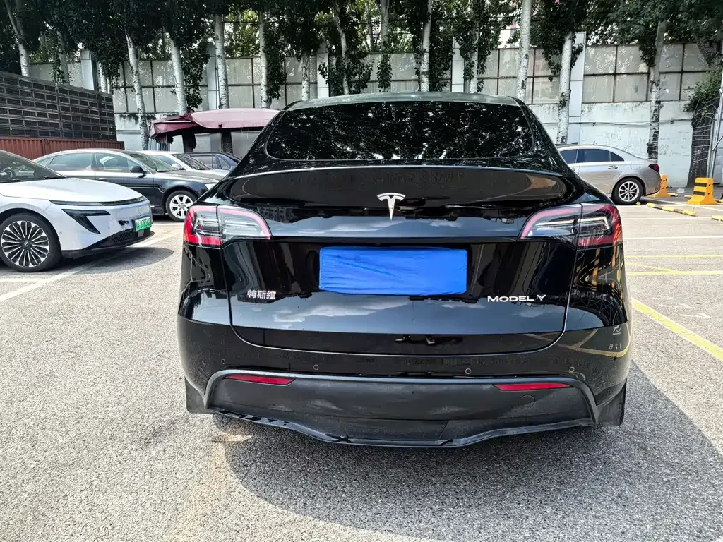 Tesla Model Y — фото 2