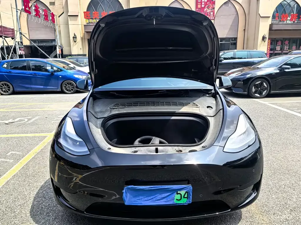 Tesla Model Y — фото 10