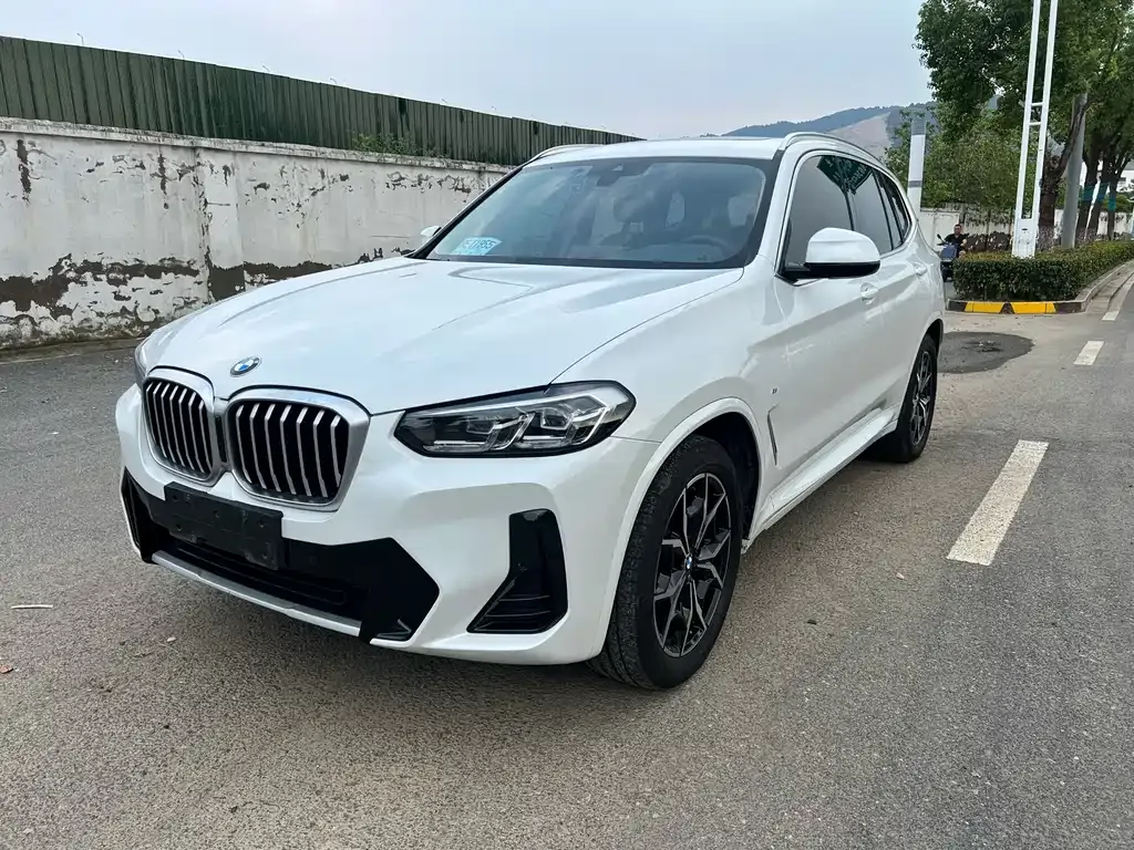 BMW X3 — фото 1