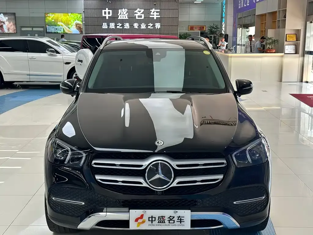 Mercedes-Benz 奔驰GLE(进口) — фото 6