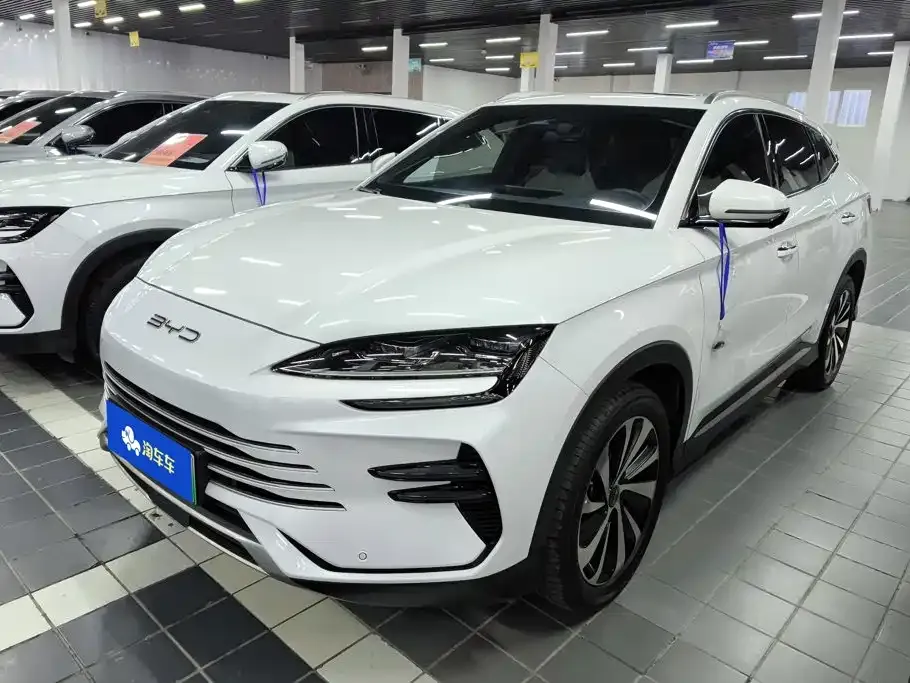 BYD PLUS New Energy — фото 1