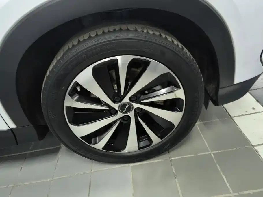BYD PLUS New Energy — фото 4