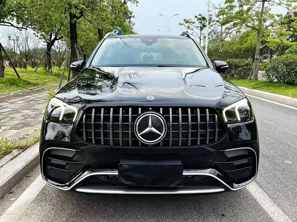 Mercedes-Benz 奔驰GLE(进口) — фото 9