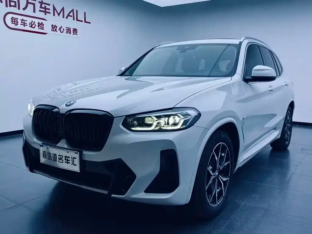 BMW X3 — фото 1