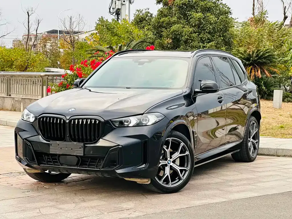 BMW X5 — фото 1