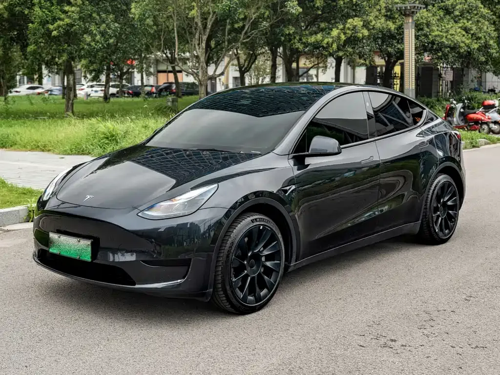 Tesla Model Y — фото 1
