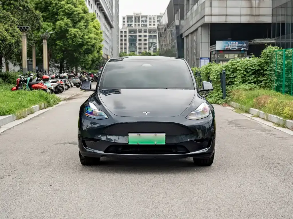Tesla Model Y — фото 8