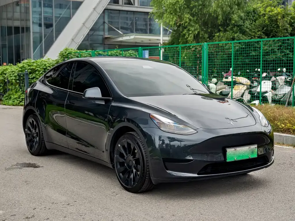 Tesla Model Y — фото 3