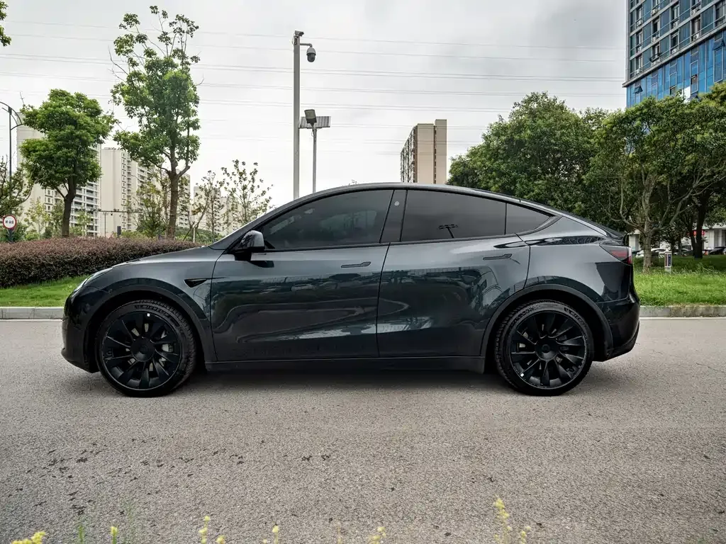 Tesla Model Y — фото 9