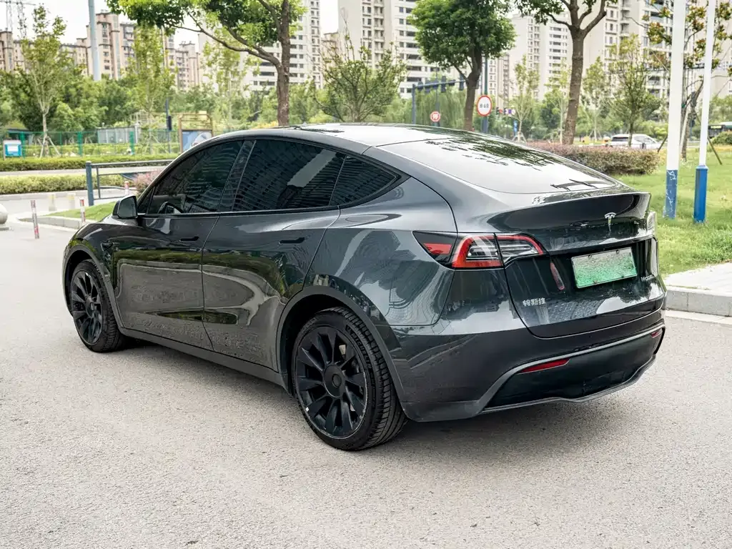 Tesla Model Y — фото 5