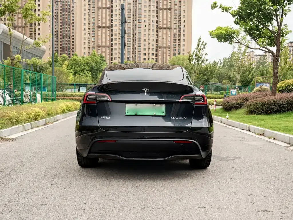 Tesla Model Y — фото 7