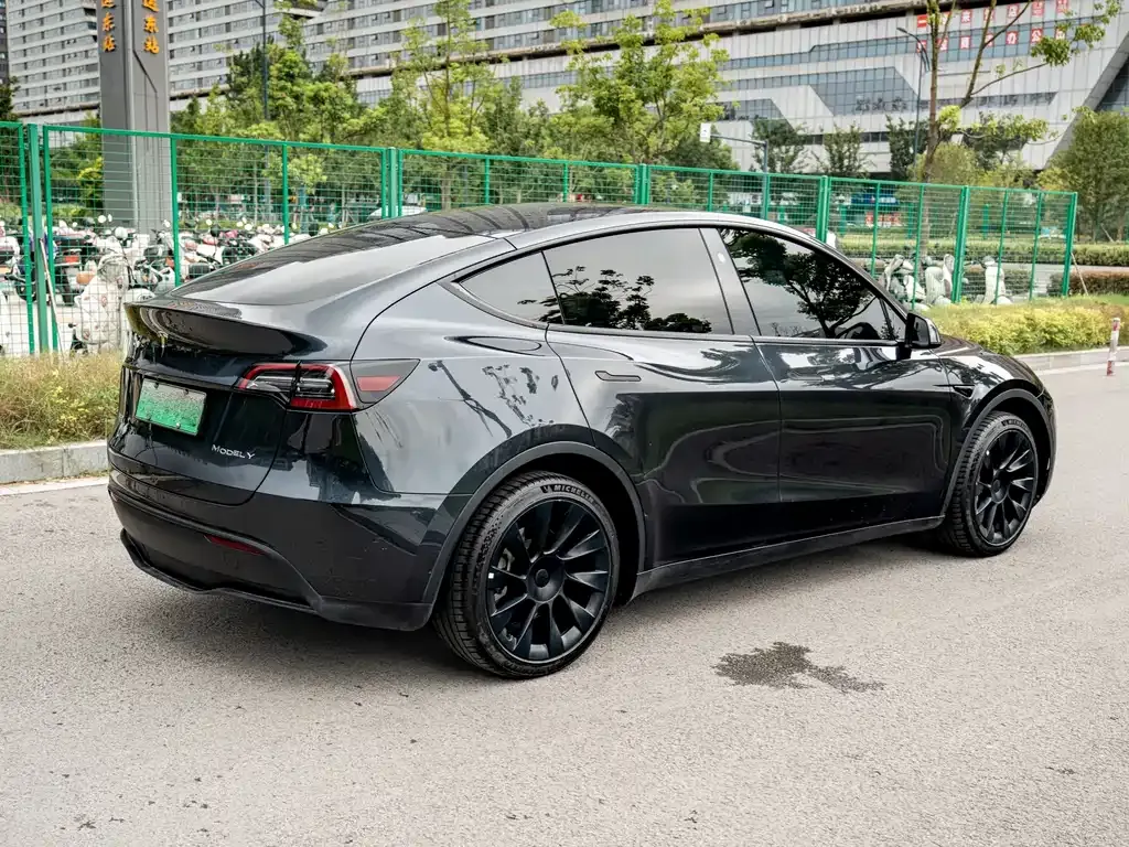 Tesla Model Y — фото 10