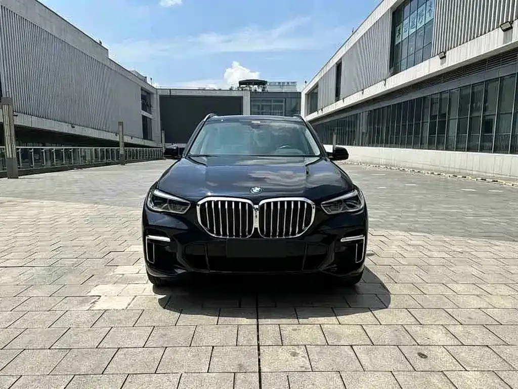 BMW X5 — фото 10