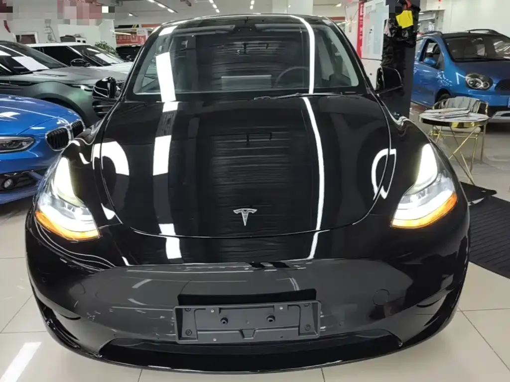 Tesla Model Y — фото 9