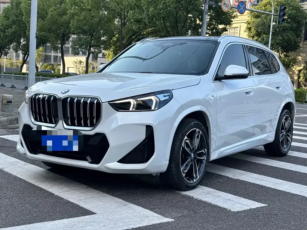BMW X1 — фото 1