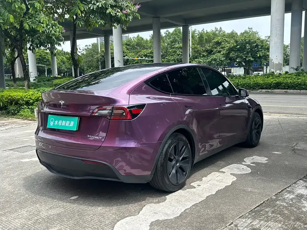 Tesla Model Y — фото 10