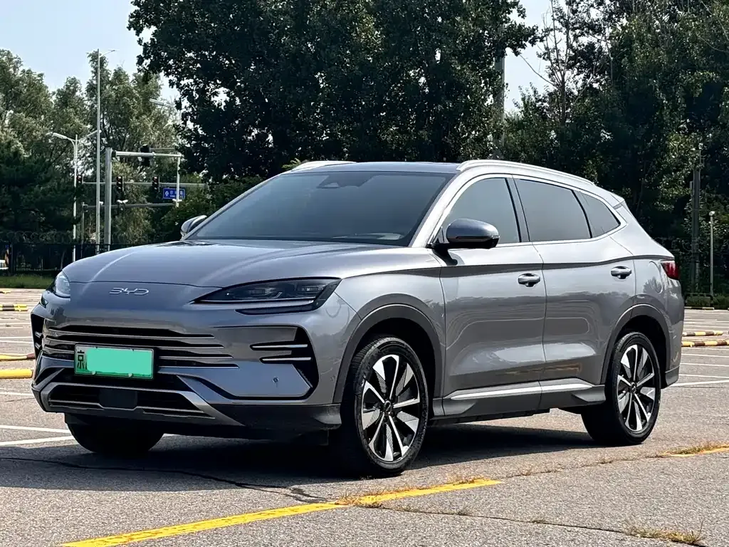 BYD PLUS New Energy — фото 1