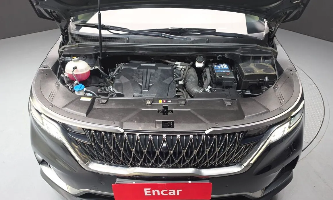 Kia Carnival — фото 10