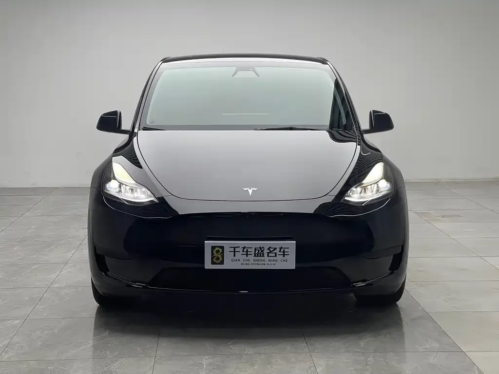 Tesla Model Y — фото 2