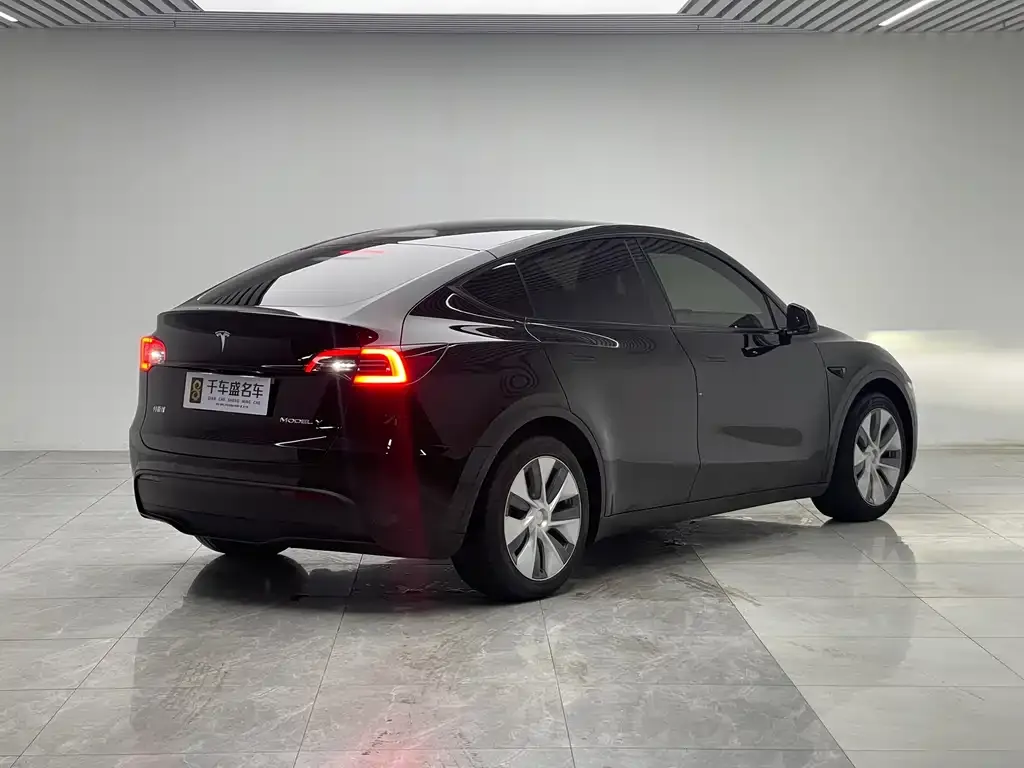 Tesla Model Y — фото 5