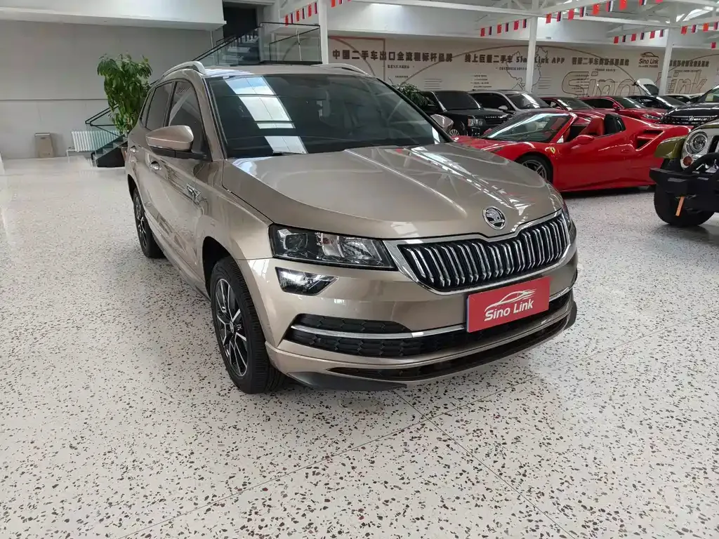 Skoda Karoq — фото 8