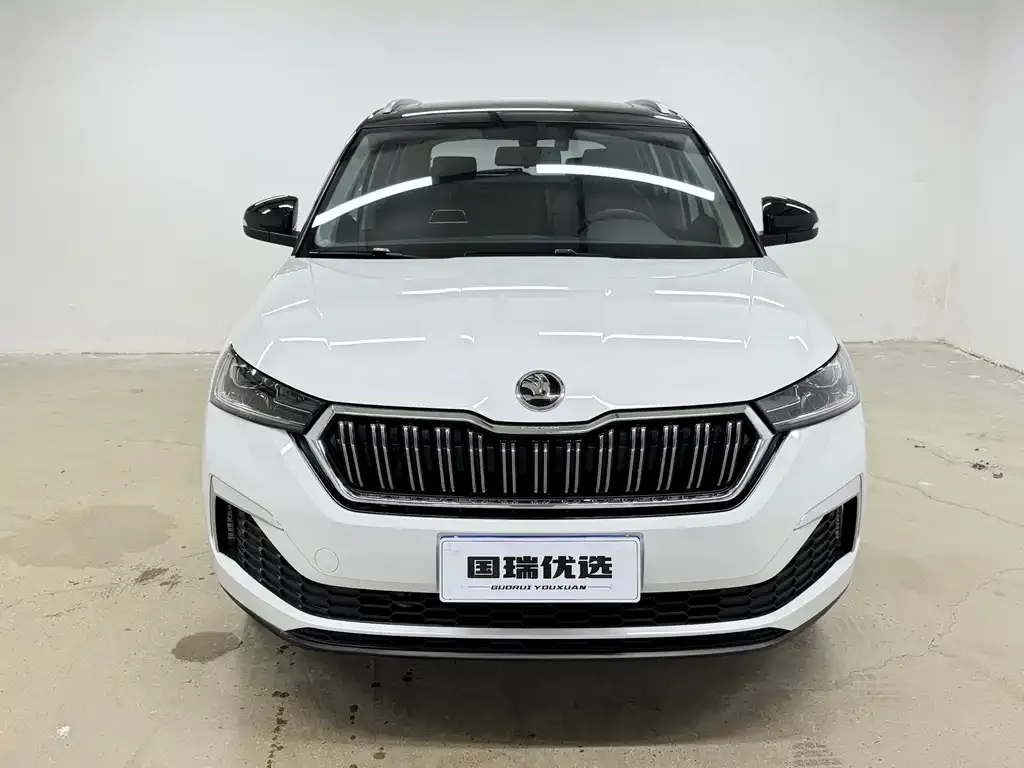 Skoda Kamiq — фото 7