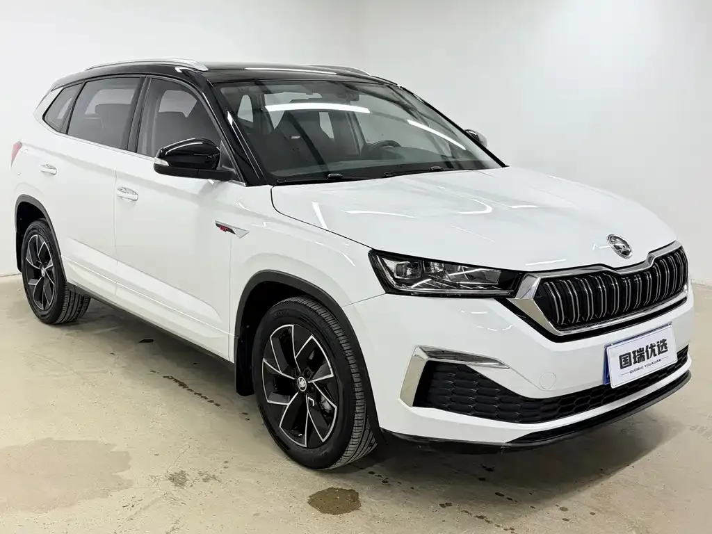 Skoda Kamiq — фото 10