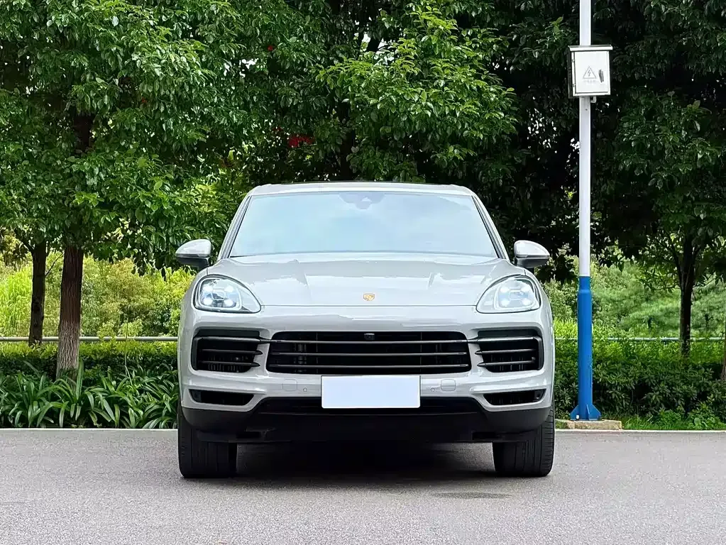 Porsche Cayenne — фото 10