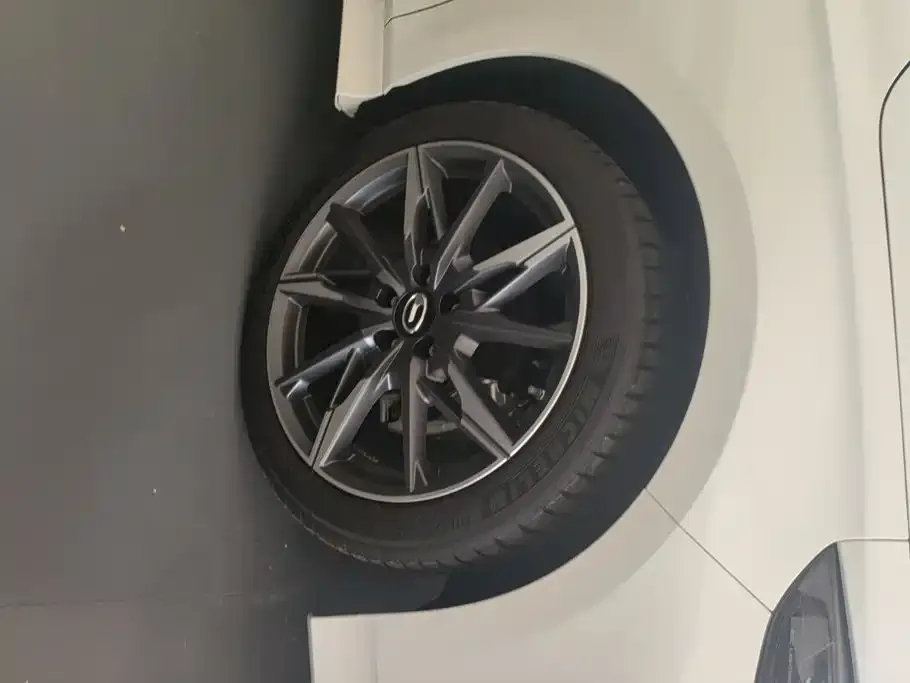 GAC Motor Shadow Leopard — фото 9