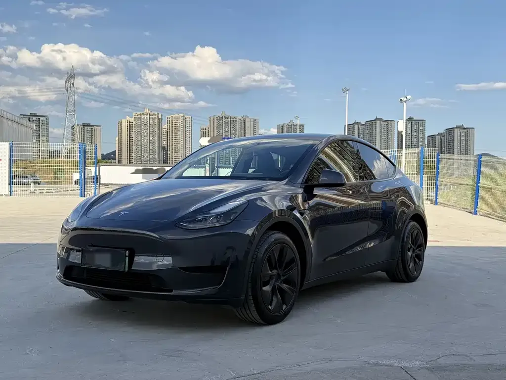 Tesla Model Y — фото 1