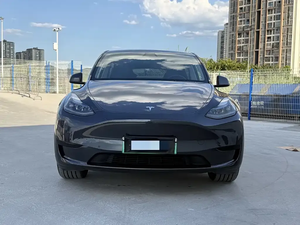 Tesla Model Y — фото 10