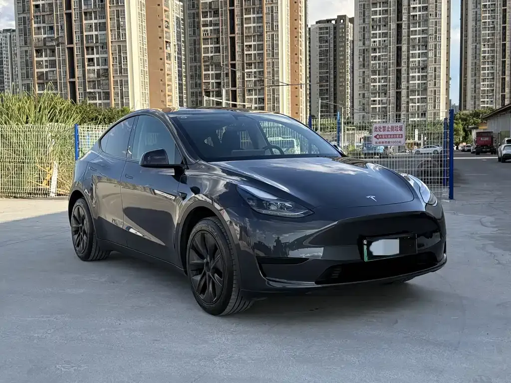 Tesla Model Y — фото 8