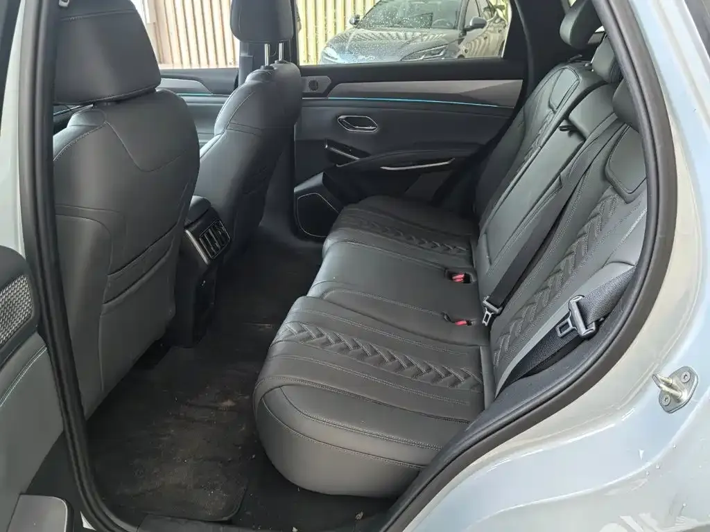 BYD L DM-i — фото 6