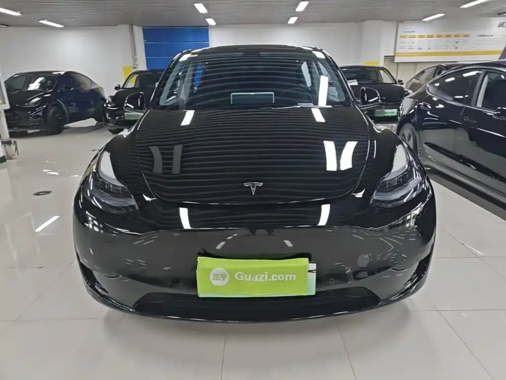 Tesla Model Y — фото 10