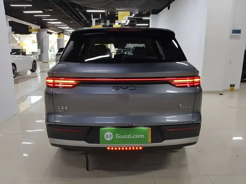 BYD Pro New Energy — фото 2