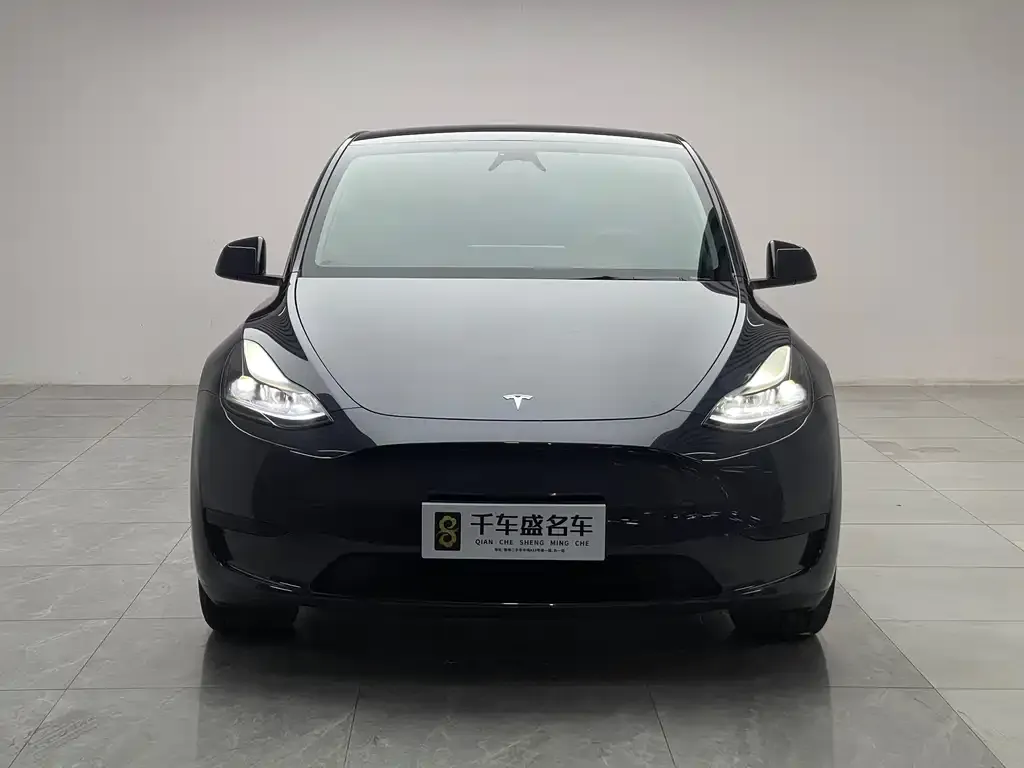 Tesla Model Y — фото 2