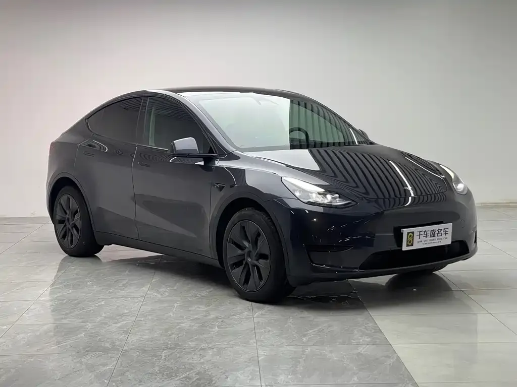 Tesla Model Y — фото 7